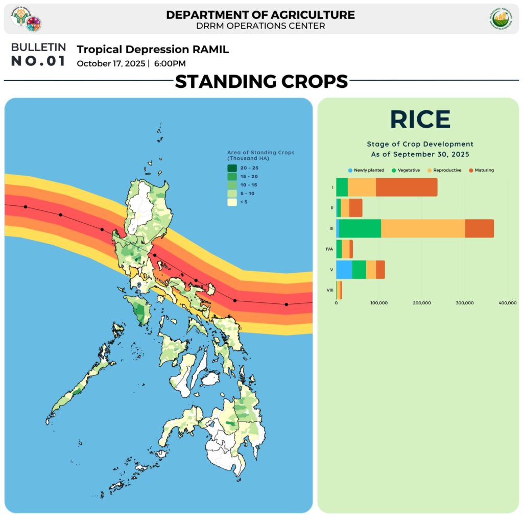 561311698 1264116369075923 7265931433974483222 n