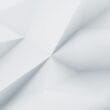demo image 00006