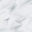 demo image 00002