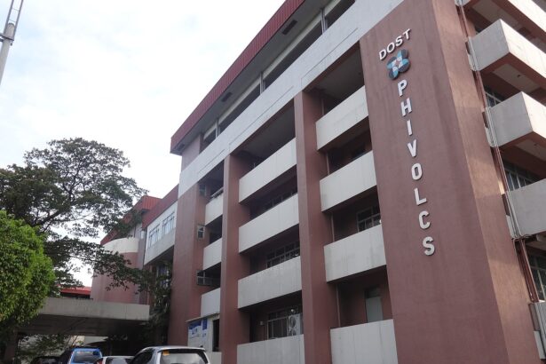 By patrickroque01 - Taken using my own camera, CC BY-SA 4.0, https://en.wikipedia.org/w/index.php?curid=60784697