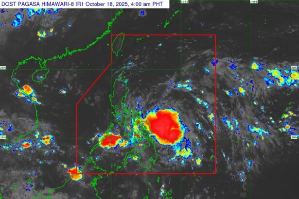 561577594 1313814244127162 1341520477568115080 n