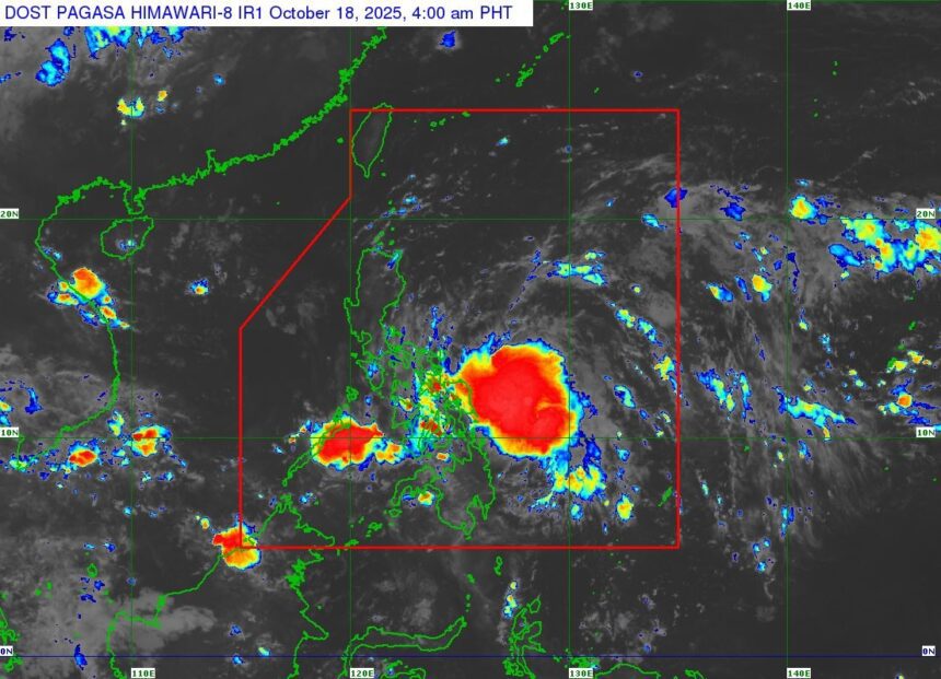 561577594 1313814244127162 1341520477568115080 n