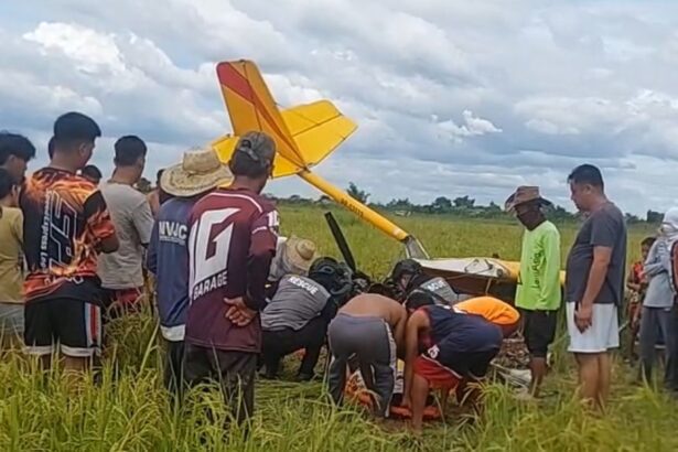 564638723 855739466798991 1989801927475962558 n