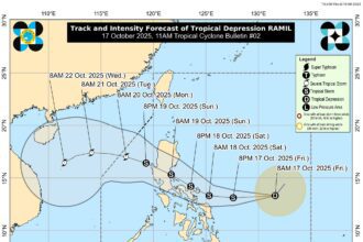 566197089 1264066595764991 8108662984343460008 n