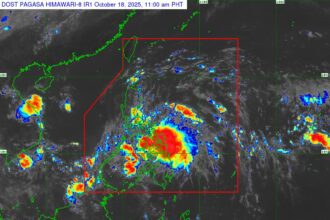 566378907 1265029609002023 2219751138070813445 n