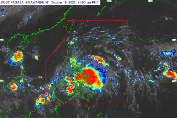 566378907 1265029609002023 2219751138070813445 n