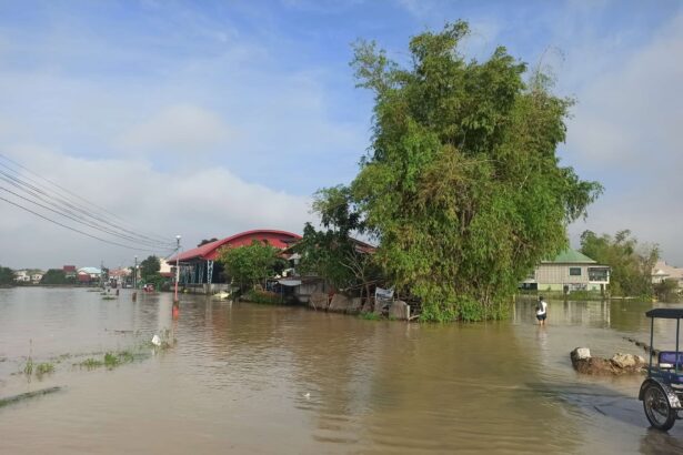 Local Disaster Risk Reduction and Management Office - Candaba, Pampanga