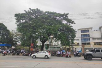 Photo courtesy of The Phoenix - CCA/Facebook