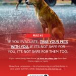 don’t forget our furry friends