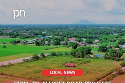 farm to market road dpwh