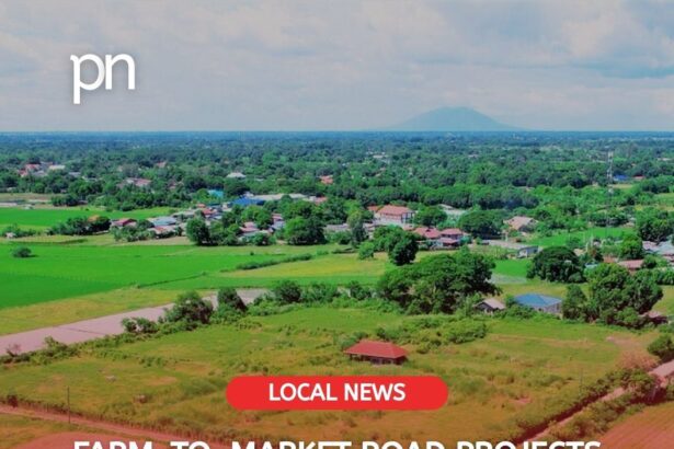 farm to market road dpwh