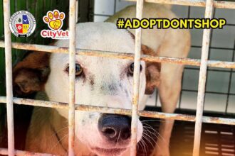 482358484 122283667256002831 4352335664088204489 n