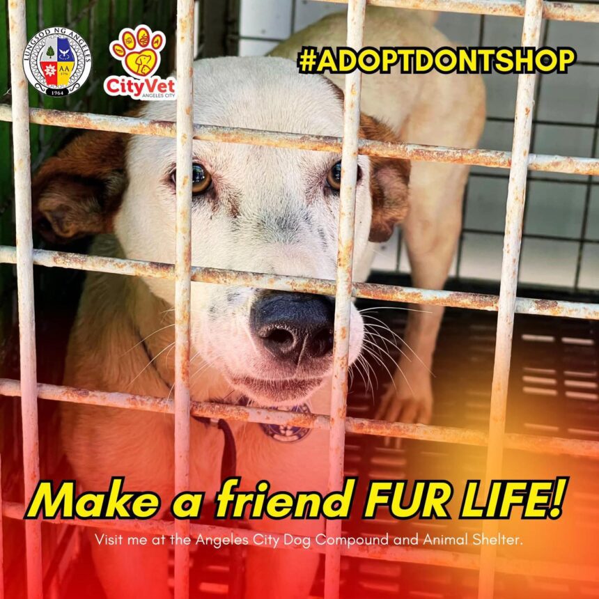 482358484 122283667256002831 4352335664088204489 n