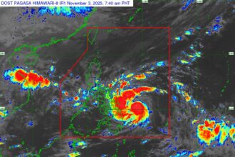 574567149 1279328347572149 2506772801346907122 n