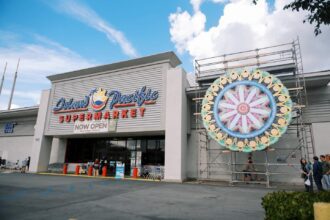 585592486 741186489041760 6897139276820828031 n