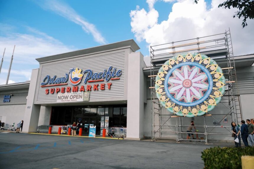 585592486 741186489041760 6897139276820828031 n