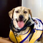 590423892 122340648110002831 1151506138502737268 n