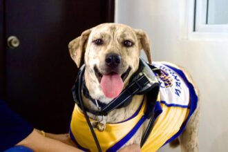 590423892 122340648110002831 1151506138502737268 n