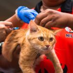 597738748 122344090556002831 1642606443555171878 n