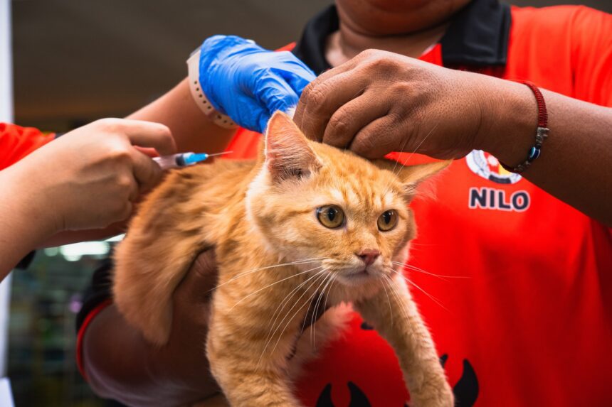 597738748 122344090556002831 1642606443555171878 n