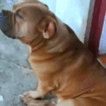 Screenshot 2025 12 07 201944