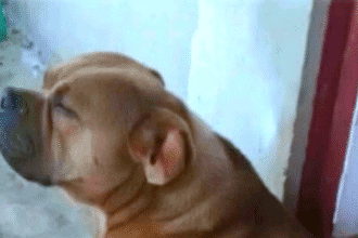 Screenshot 2025 12 07 201944