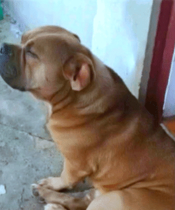 Screenshot 2025 12 07 201944