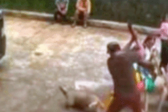 Screenshot 2025 12 07 2019571