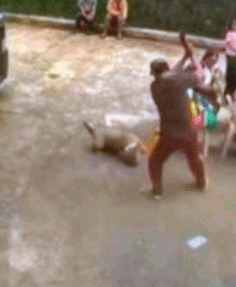 Screenshot 2025 12 07 2019571