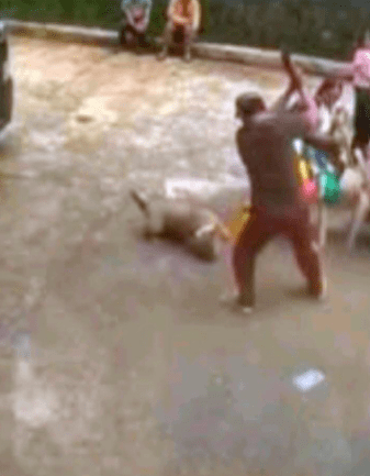 Screenshot 2025 12 07 2019571